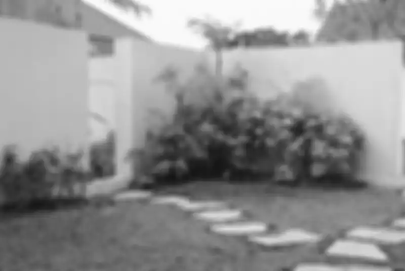 Inilah tampak kebun di halaman belakang.