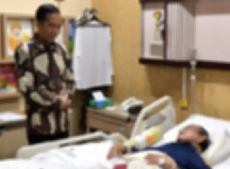 BJ Habibie dikunjungi Joko Widodo