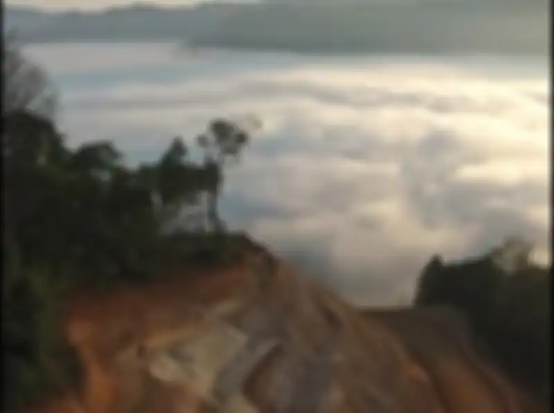 Indahnya Negeri di Atas Awan Citorek Banten