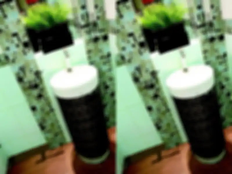 Tetumbuhan mungil diletakkan di cerukan kaca mempercantik kamar mandi. 