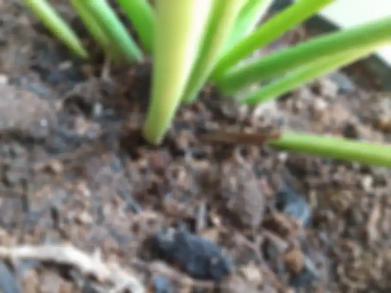 Galaxy A30s indoor cahaya cukup