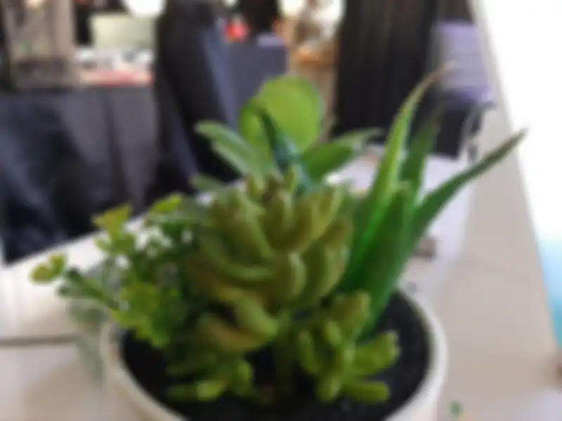 Galaxy A30s foto bokeh indoor