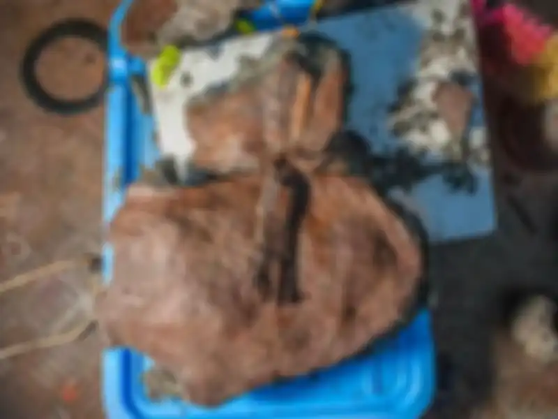 Keranjang buah ditemukan di bawah reruntuhan Kota Mesir Kuno.