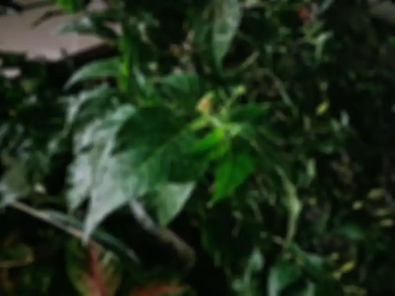 Hasil foto Infinix Hot 20 5G - Outdoor malam cahaya minim, tanpa flash 