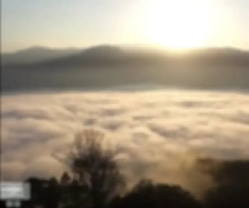 Indahnya pemandangan Negeri di Atas Awan Citorek, Banten