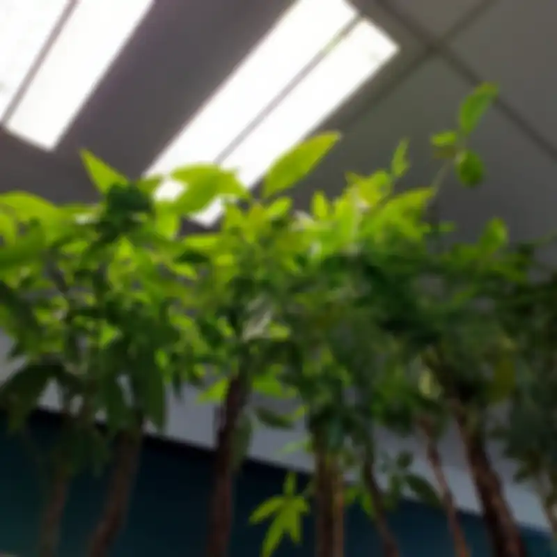 Hasil foto kamera Galaxy M30 Indoor