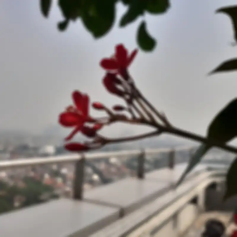 Hasil foto kamera Galaxy M30 Outdoor