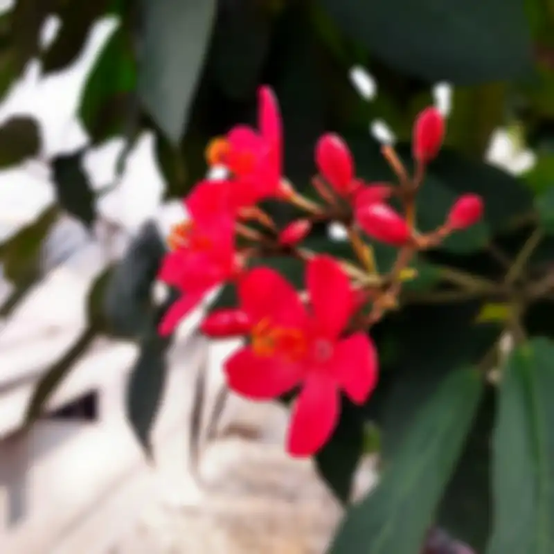 Hasil foto kamera Galaxy M30 Outdoor