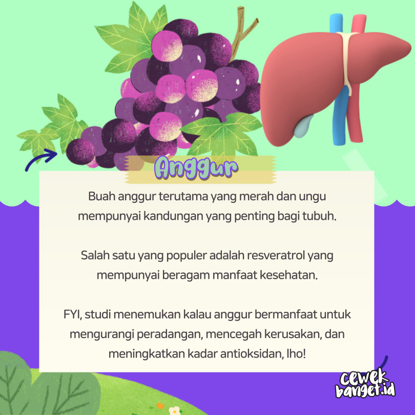 Anggur jaga kesehatan organ hati