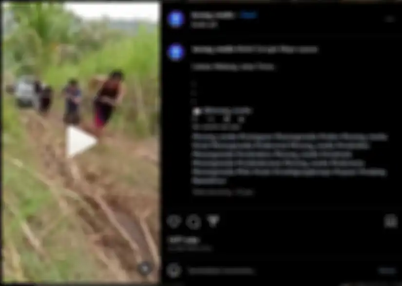 Mobil Google Maps nyasar di ladang.