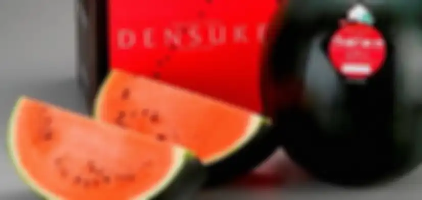 Densuke Watermelon