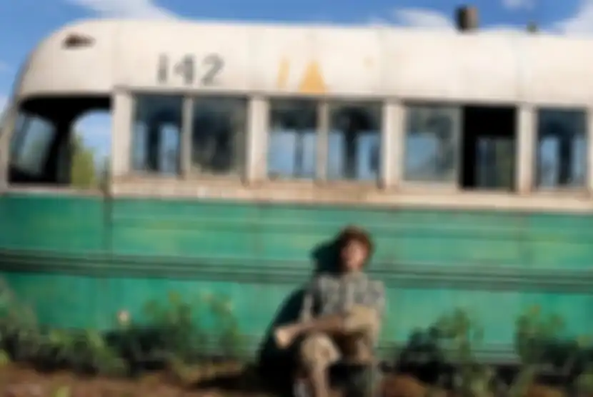 Into The Wild 