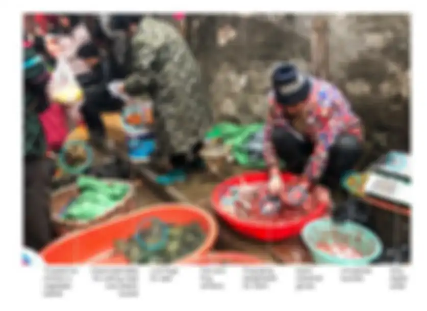 Kondisi pasar tradisional Kota Wuhan