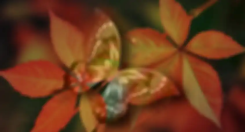 Gambar apa yang pertama dilihat, kupu-kupu atau daun?