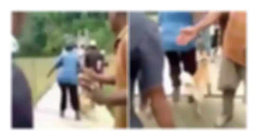 Puluhan Orang Jatuh ke Sungai, Inilah Video Detik-detik Ambruknya Jembatan Gantung di Koto Baru