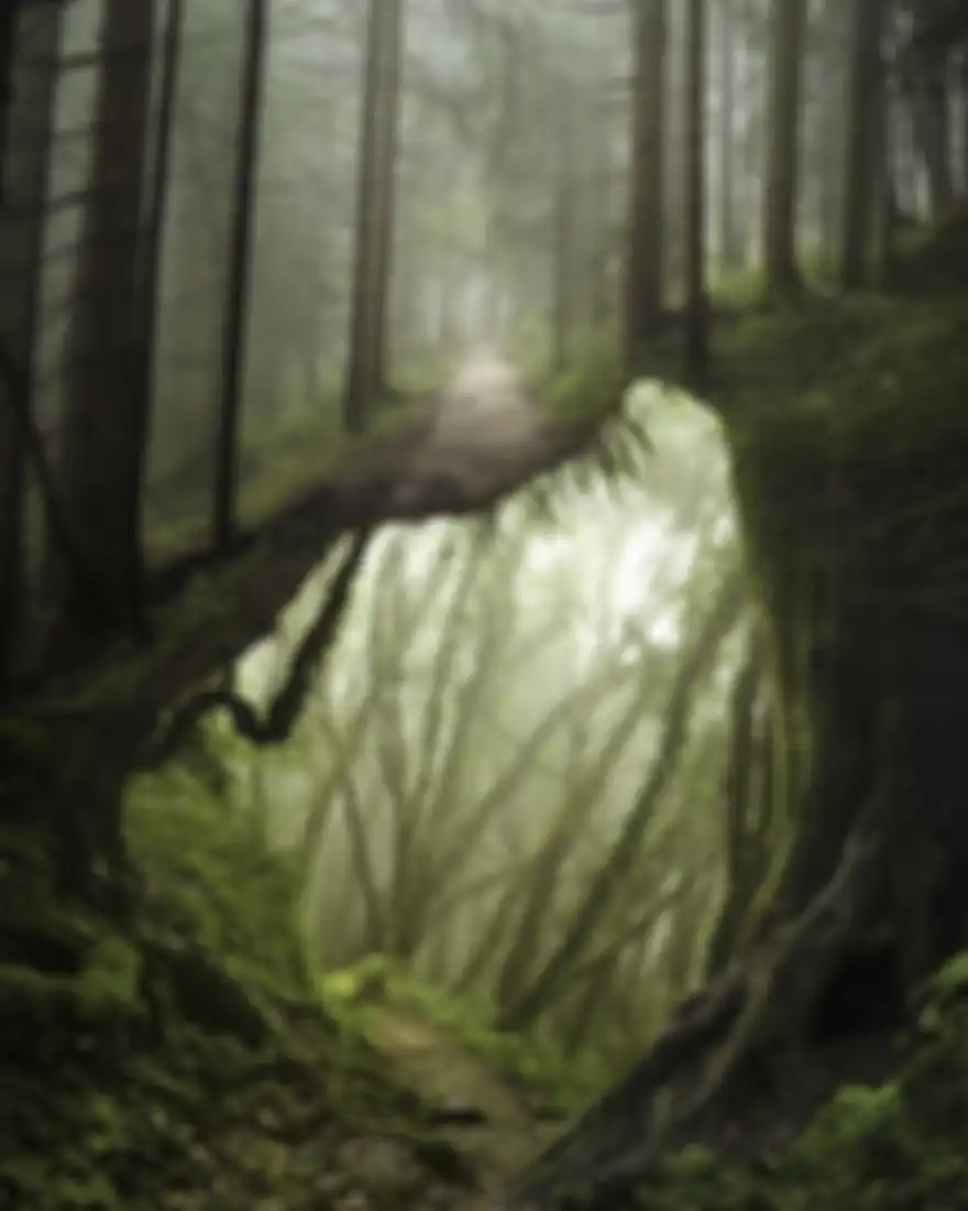 Hasil Karya Justin Peters