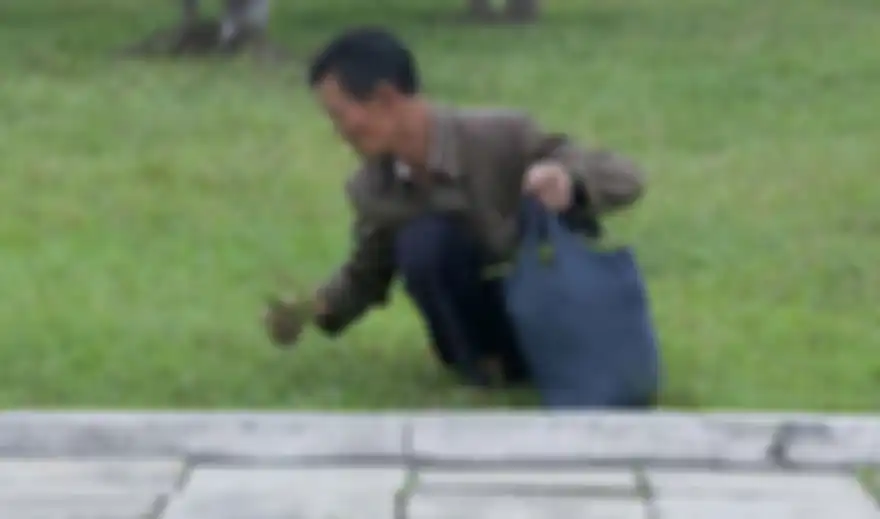 Pria mengumpulkan rumput.