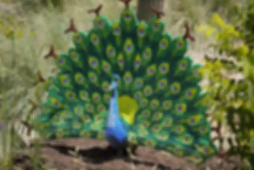 LEGO yang dibuat Sean Kenney menjadi berbentuk binatang di San Antonio Zoo.
