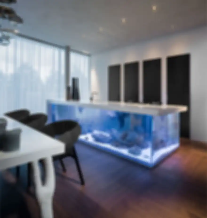Aquarium yang juga berfungsi jadi meja dapur