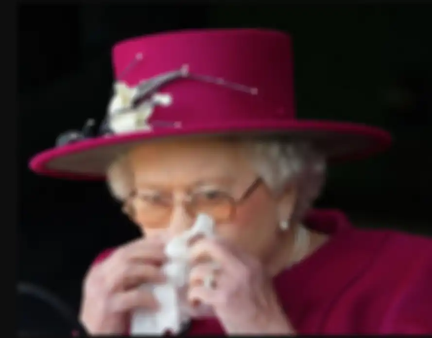 Saputangan atau tisu juga enggak lupa Ratu Elizabeth II bawa dalam tasnya