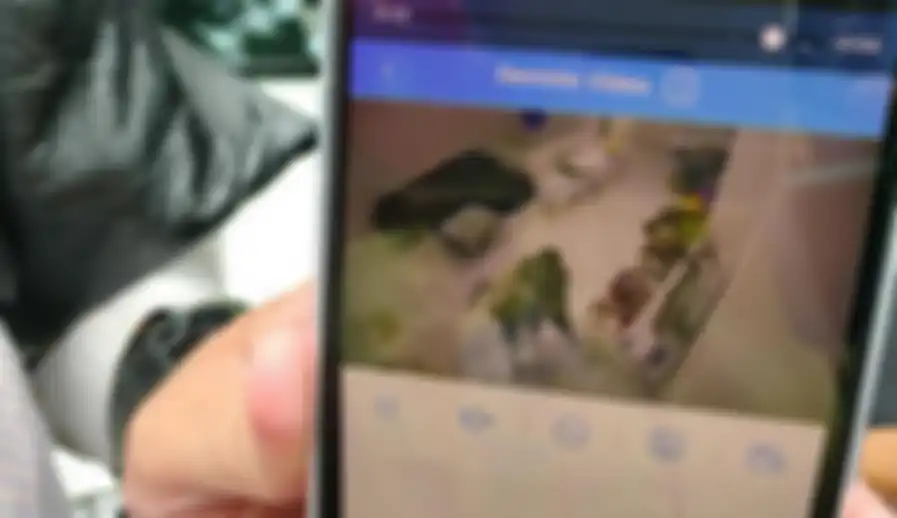 Screen Shoot Rekaman CCTV Ijonk Serang Dhena Devanka 