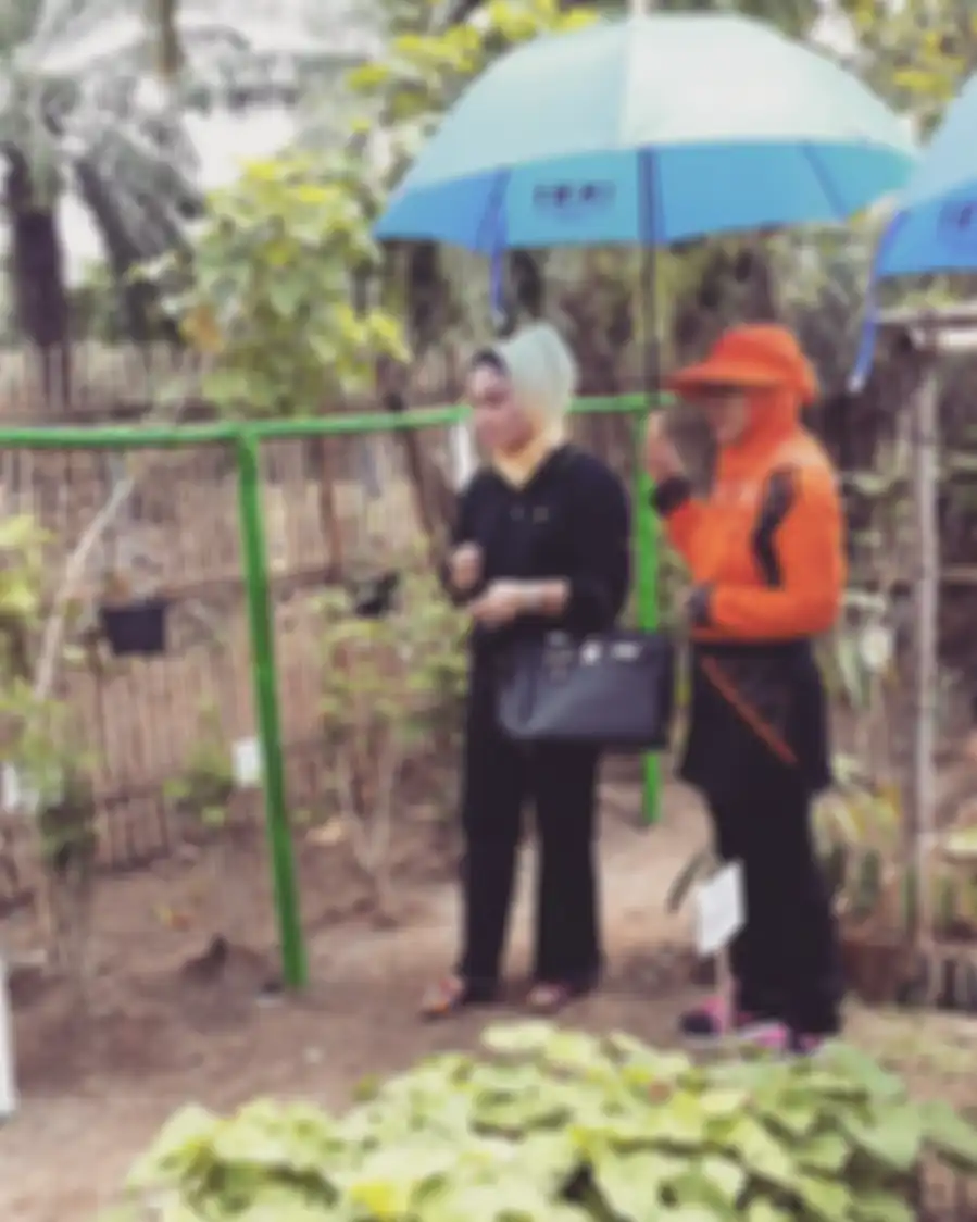 Besan Jokowi bak sosialita