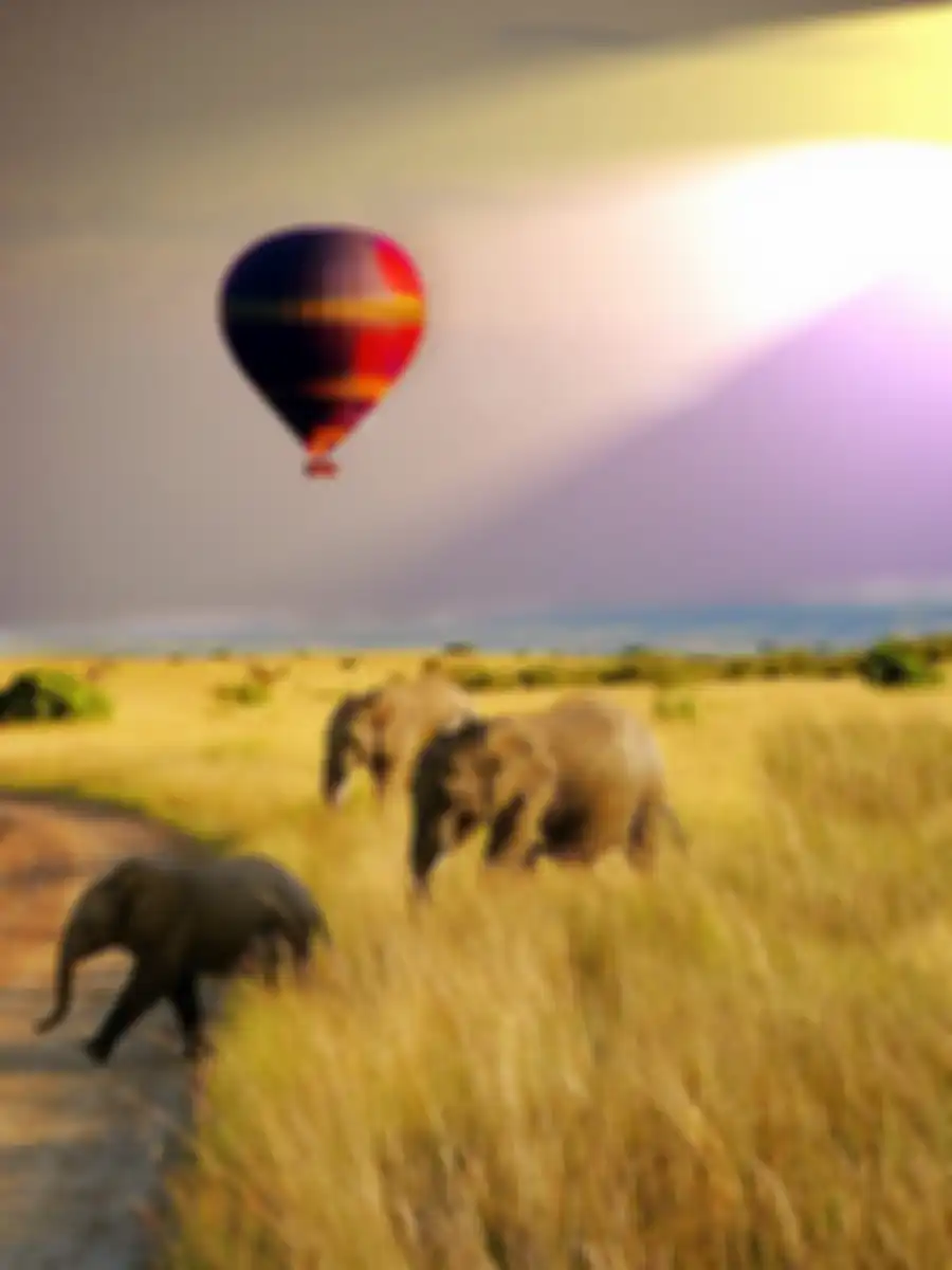 Tanzania.