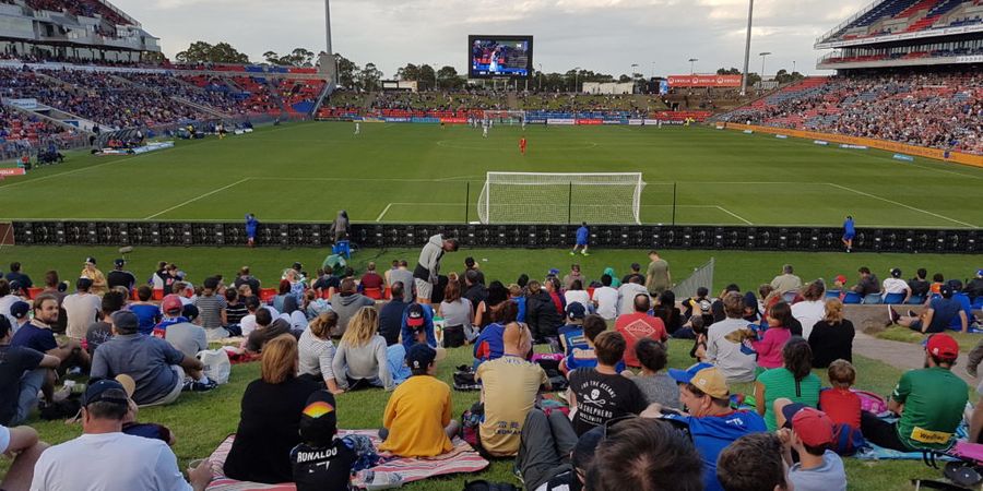 Tribune Unik Berbukit dengan Rumput dari Kandang Newcastle Jets