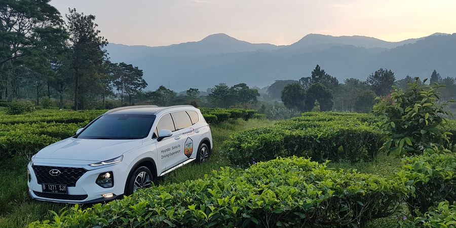 Harga Terkini Hyundai Santa Fe Bulan Februari 2020, SUV Keren dan Bertenaga Asal Korea