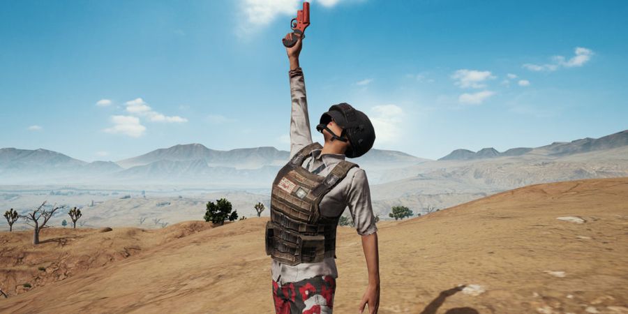 Banyak yang Baru! Inilah Perubahan Dalam Update PUBG Lite Terbaru  