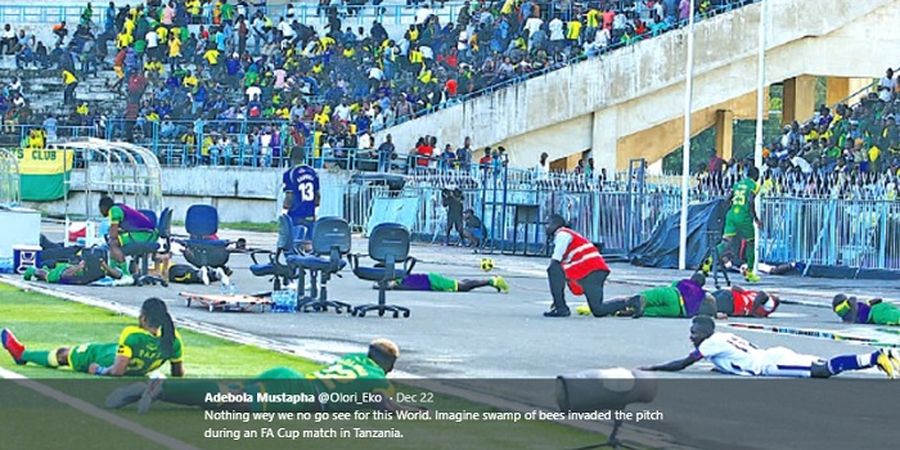 VIDEO - Serangan Lebah Kacaukan Pertandingan Sepak Bola di Tanzania