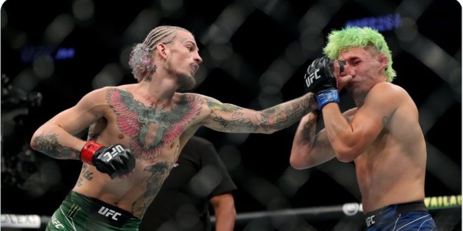 Kendati Idola, Sean O'Malley Kapok Satu Hajatan dengan Conor McGregor