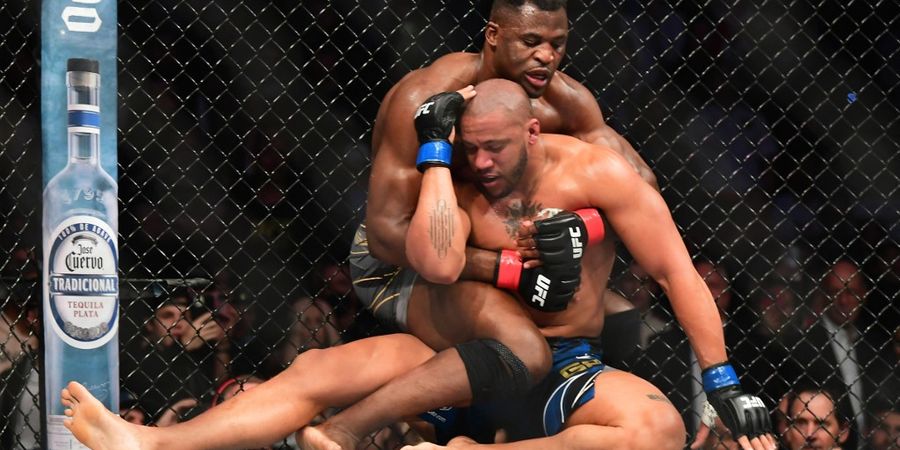 Francis Ngannou Disebut Bunuh Diri Jika Mulai Karier Tinju Lawan Tyson Fury