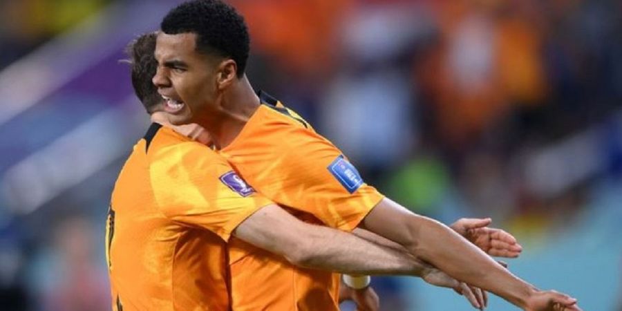 Hasil Babak I - Gol Roket Cody Gakpo Jadi Pembeda, Belanda Ungguli Ekuador