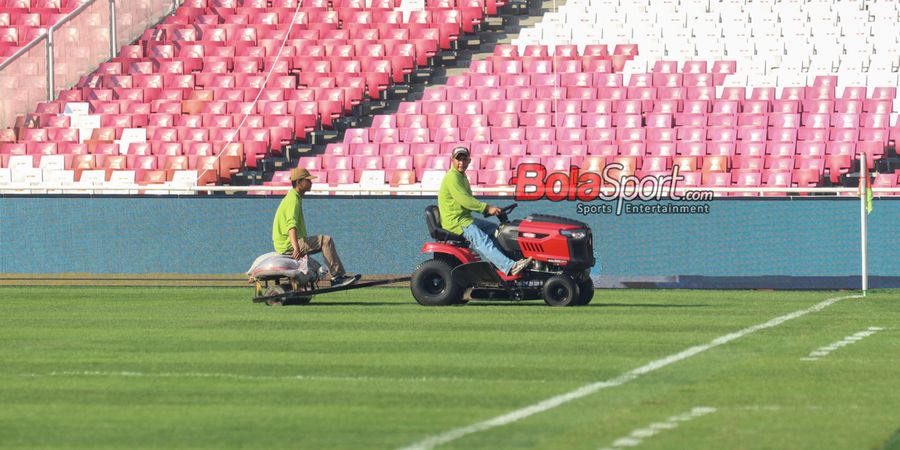 Tak Mau Kejadian Buruk Terulang, Rumput GBK Ditanam Ulang Demi Pertandingan Timnas Indonesia