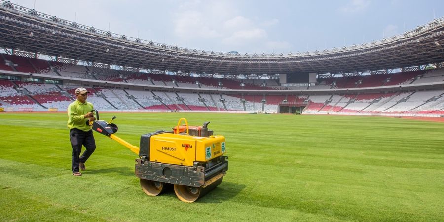 Dikritik Pemain Jepang, Kemenpora Cari Solusi Tingkatkan Kualitas Rumput SUGBK Sebelum Timnas Indonesia Main