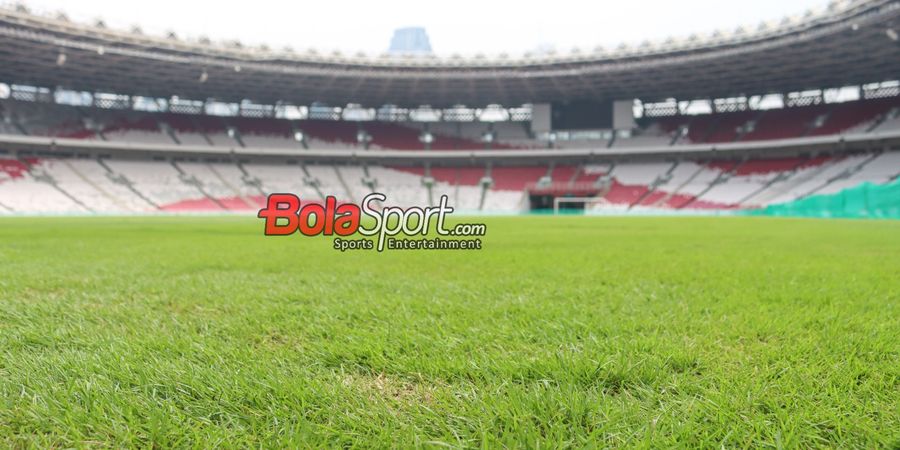 Dilakukan Perataan Tanah, Ini Update Kondisi Rumput SUGBK Jelang Laga Timnas Indonesia Vs Bahrain