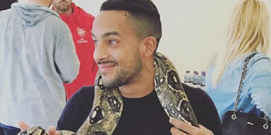 Menguji Adrenalin,  Theo Walcott Bermain Dengan Ular Boa