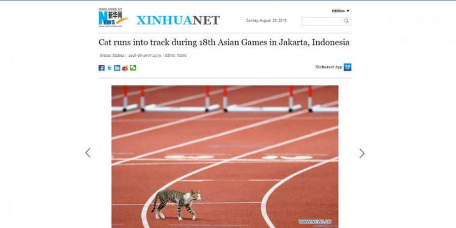 Tampil di Asian Games 2018, Kucing Ini Jadi Sorotan Media Asing