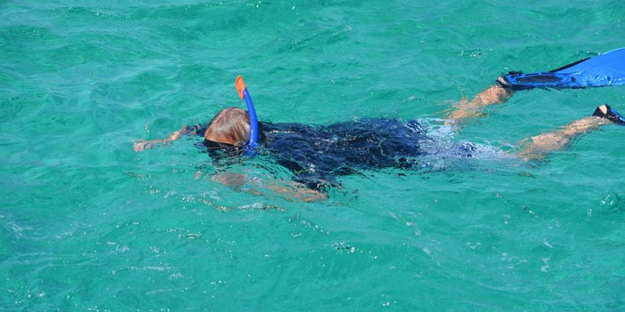 Snorkeling Itu Termasuk Olahraga atau Hanya Rekreasi, ya? Ini Faktanya