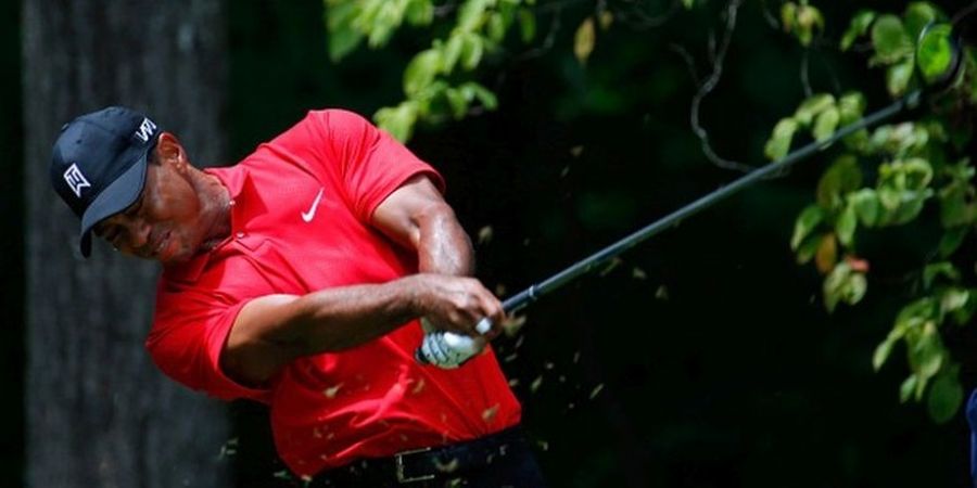 David Feherty: Tiger Woods akan Meraih Gelar Mayor di Tahun 2019