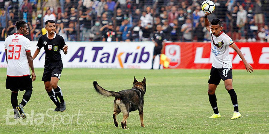 Anjing Kepolisian Bikin Pemain Tim Liga 2 Ini Ketakutan, Lihat Videonya