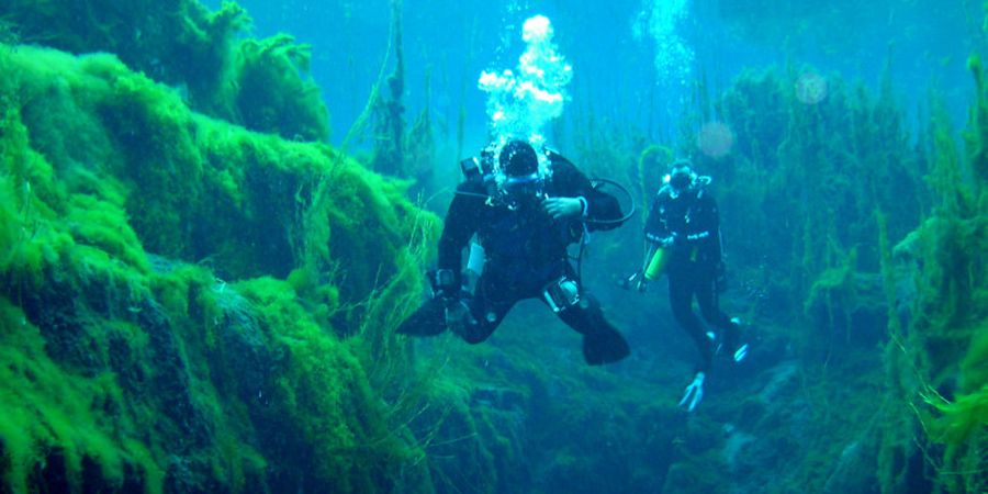 Cave Diving: Olahraga Gokil Menelusuri Goa di Bawah Laut