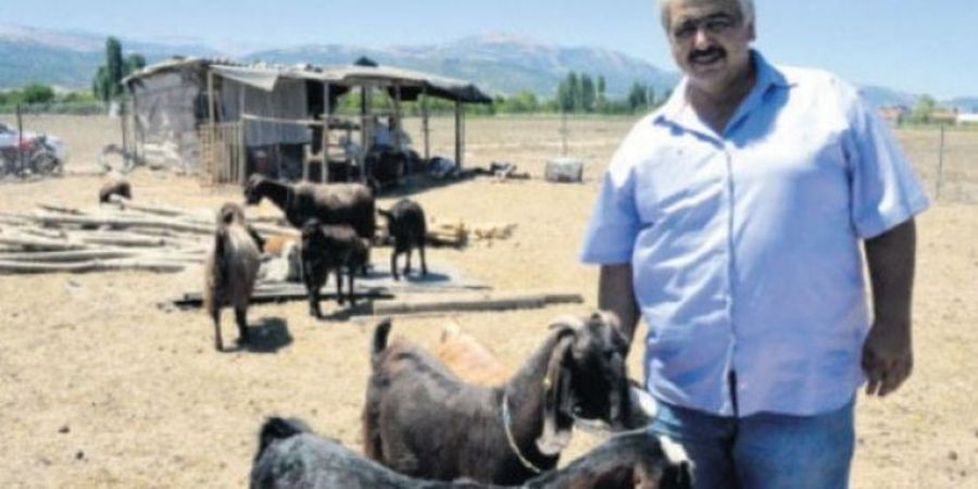 Klub Asal Turki Jual 18 Pemain untuk Membeli 10 Ekor Kambing