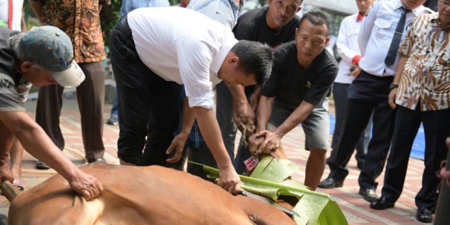 Luar Biasa! Ternyata Menpora Imam Nahrawi Jago Sembelih Hewan