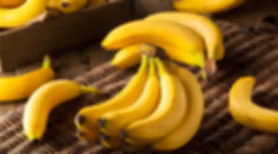 Pisang