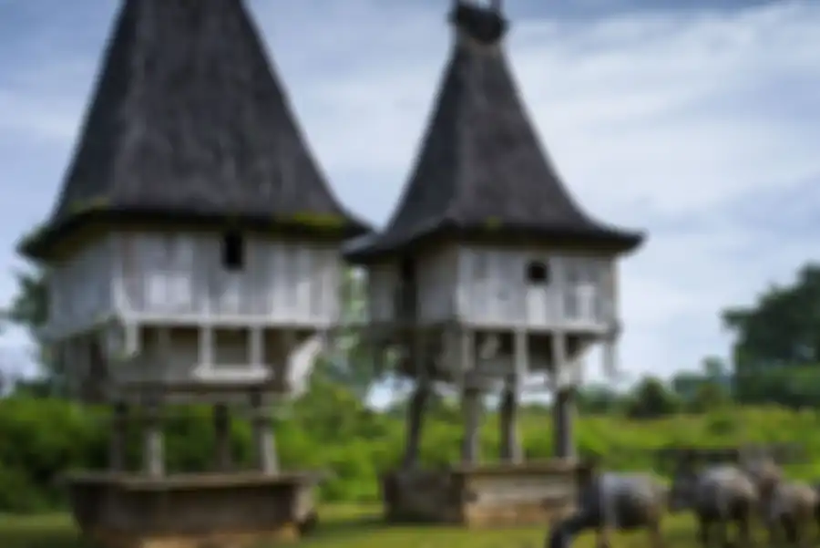 Arsitektur di Timor Leste