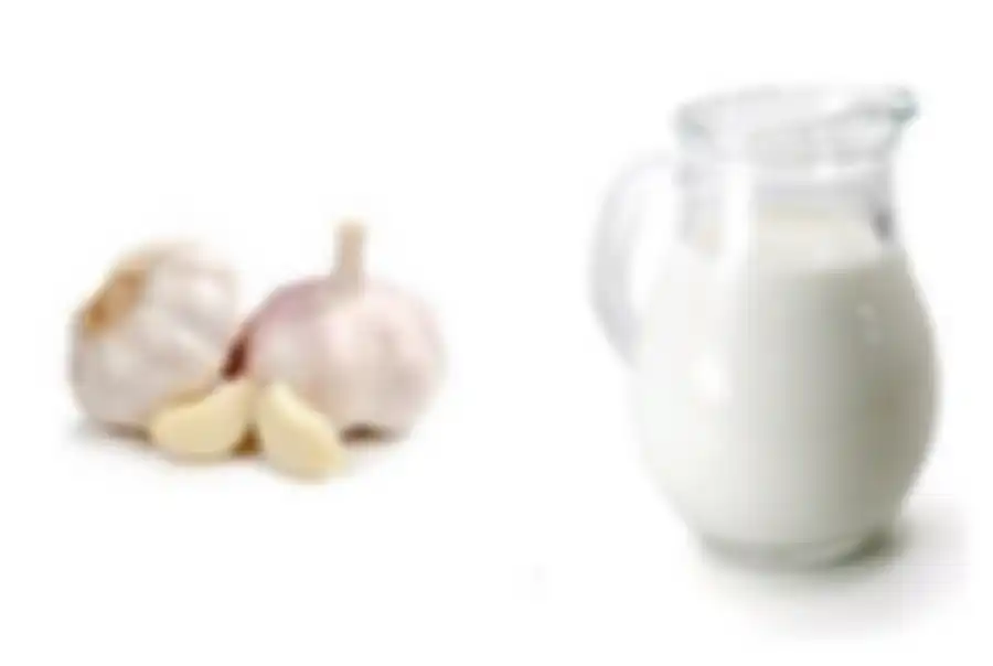 Bawang putih dan susu