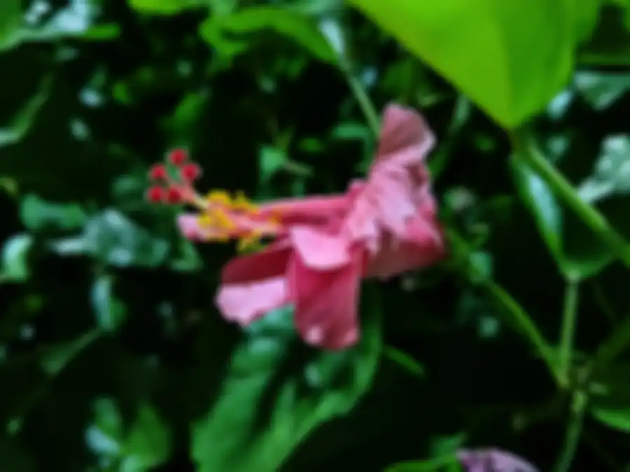 Hasil foto malam realme GT2 Pro obyek dekat tanpa flash