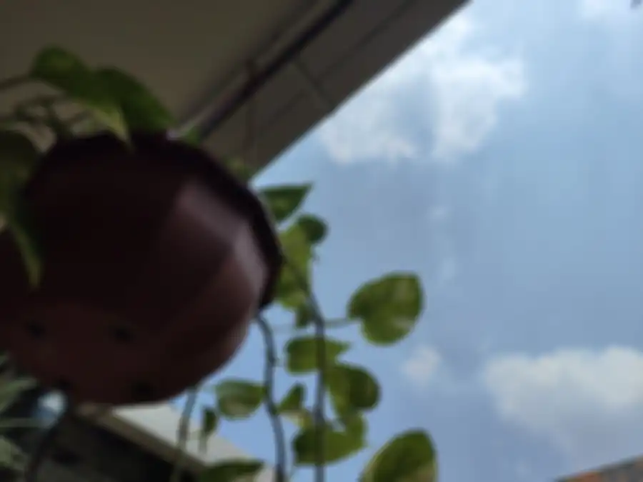 Hasil foto siang realme GT2 Pro kondisi Backlight dengan lensa Standar